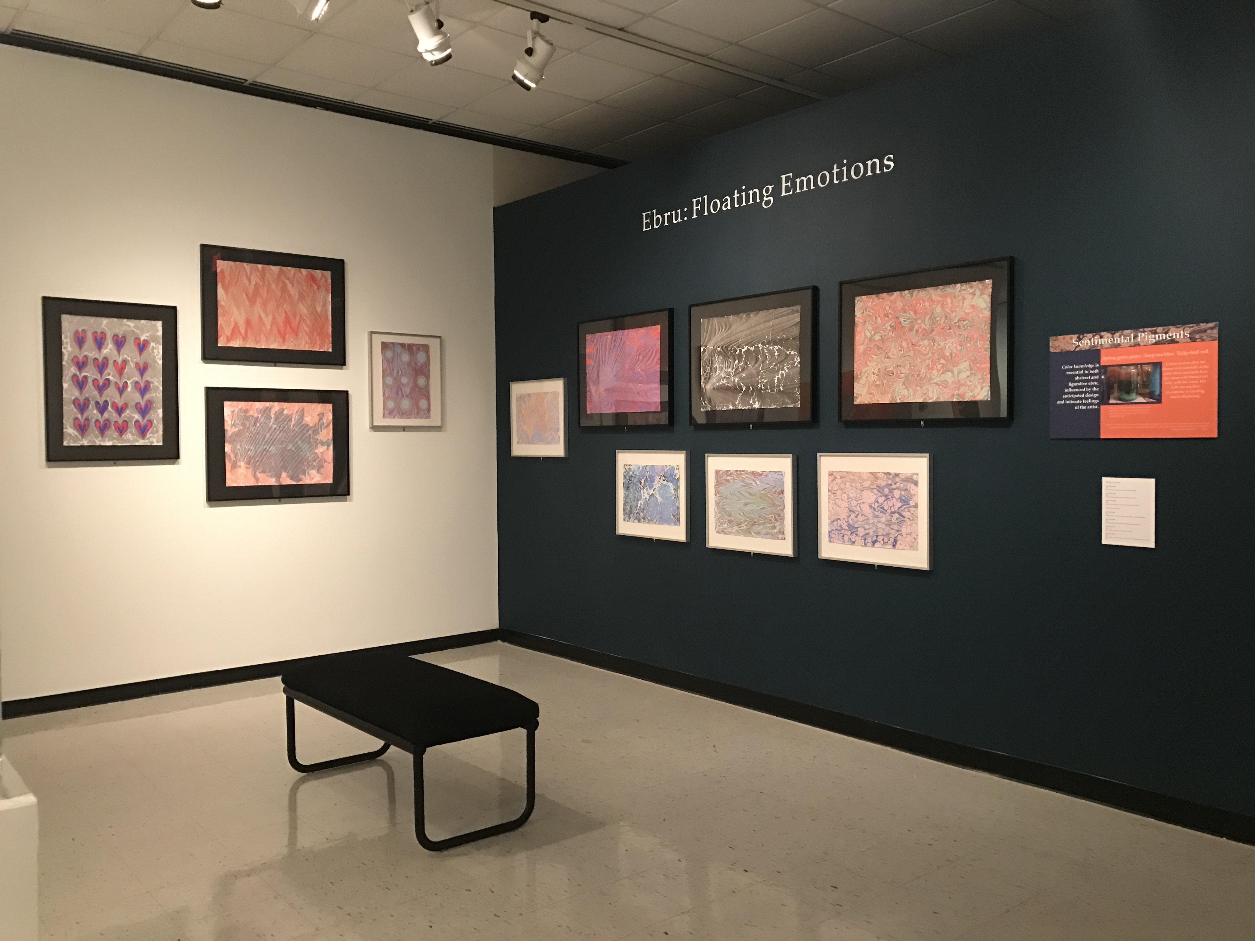 Castellani Art Museum Exhibition